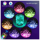 Smart Phone APP Copper Wire Light String