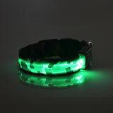 Camouflage pet supplies luminous dog collar