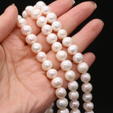 Natural Freshwater Pearl Punch Bead String