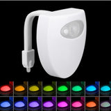 Toilet Induction LED Night Light