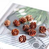 Fire-free Cinnamon Natural Pine Cone Dried Flower Aroma Diffuser Cup