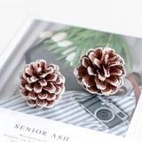 Fire-free Cinnamon Natural Pine Cone Dried Flower Aroma Diffuser Cup