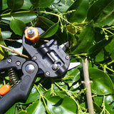 Grafting Shears For Gardening