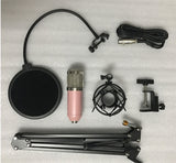 BM800 microphone set