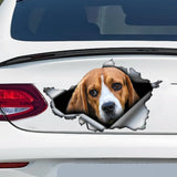 Car Tail Pet Pattern Sticker