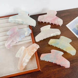 Color Changing In The Sun Exquisite High-grade Acetate Shark Clip Updo Hair Claw Hair Accessories For Women