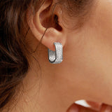 Simple Entry Lux Micro Inlaid Zircon Ear Clip