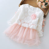 Wear a dress on behalf of autumn baby child Princess Dress girls dress baby clothes two piece autumn