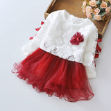 Wear a dress on behalf of autumn baby child Princess Dress girls dress baby clothes two piece autumn