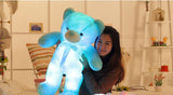 Glowing Teddy Bear