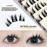 Portable Segmented Natural Thick False Eyelashes