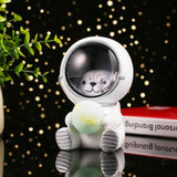 Starry sky animal atmosphere night light