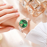 Fashion Rome Automatic Mechanical Waterproof Luminous Watch