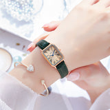 New Niche Watch Female Simple Temperament