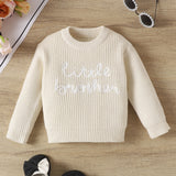 Baby Pullover Round Neck Letter Embroidered Printed Sweater