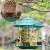 Outdoor Garden Hanging Transparent Bird Feeder