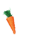 Hamster Toys Rabbit Molar Supplies Carrots